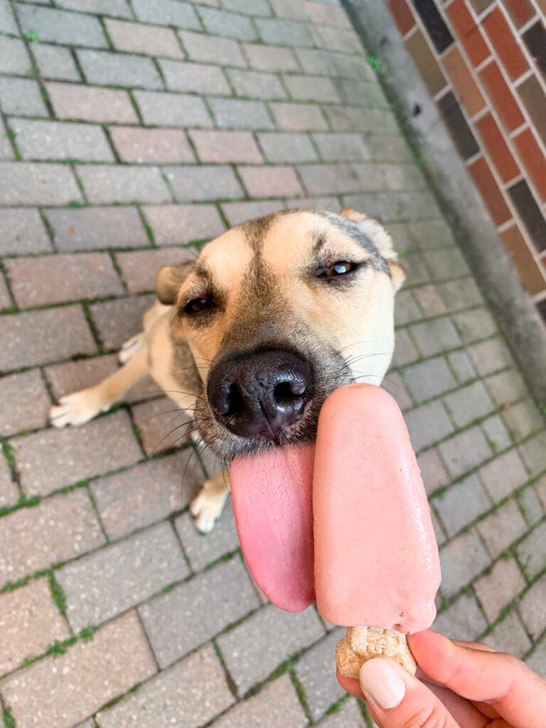 Overhead image of dog licking pink peanut butter popsicle.