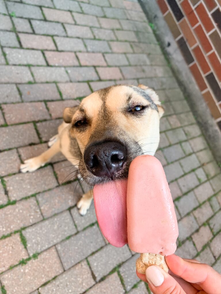 Dog Licking Homemade Peanut Butter With Banana Ice Popsicle Stock Photo -  Download Image Now - iStock