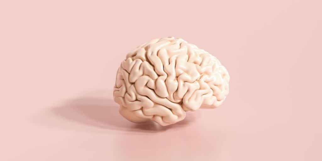 Brain figure on pink background.