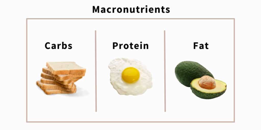 Titled "Macronutrients"; carbs has image of bread, protein has image of eggs, fat has image of avocado.