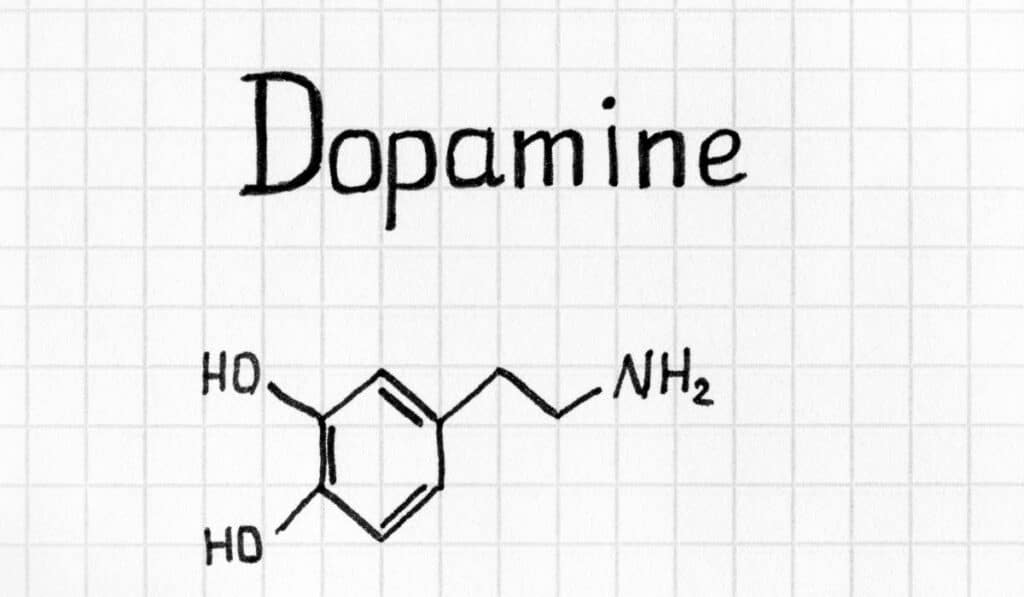 Dopamine chemical structure.