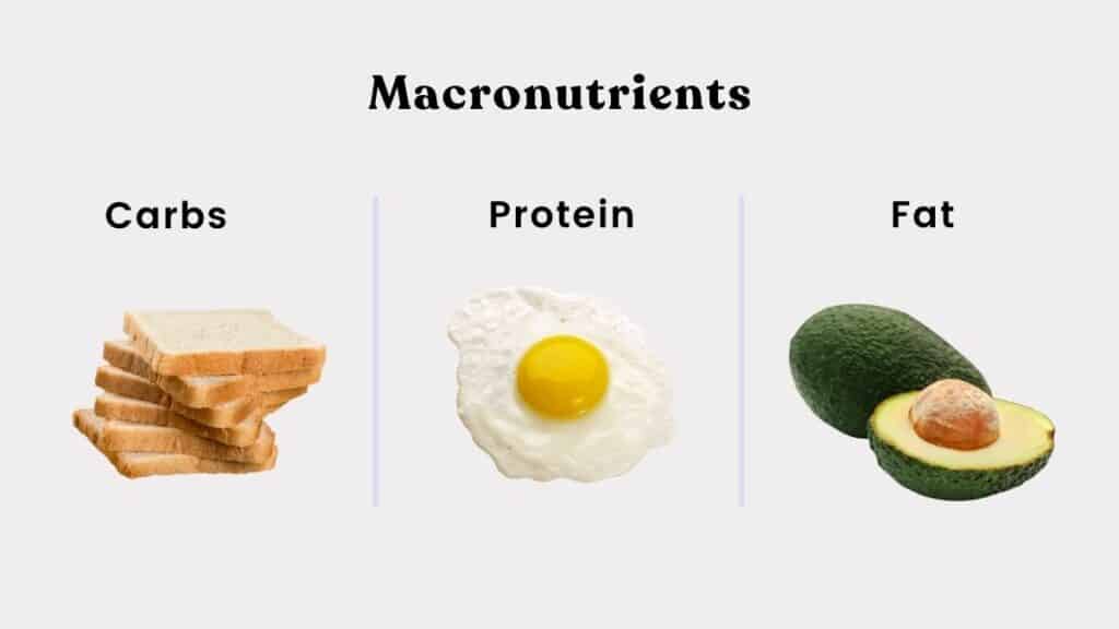 Infographic titled "macronutrients" with text and images of carbs, protein, and fat.