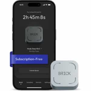 Phone and the brick access blocker